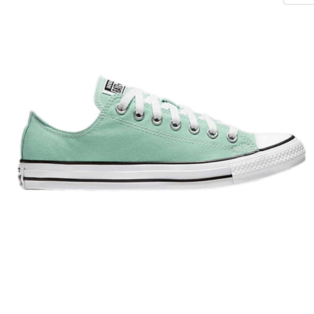 Converse Chuck Taylor All Star Low Tops